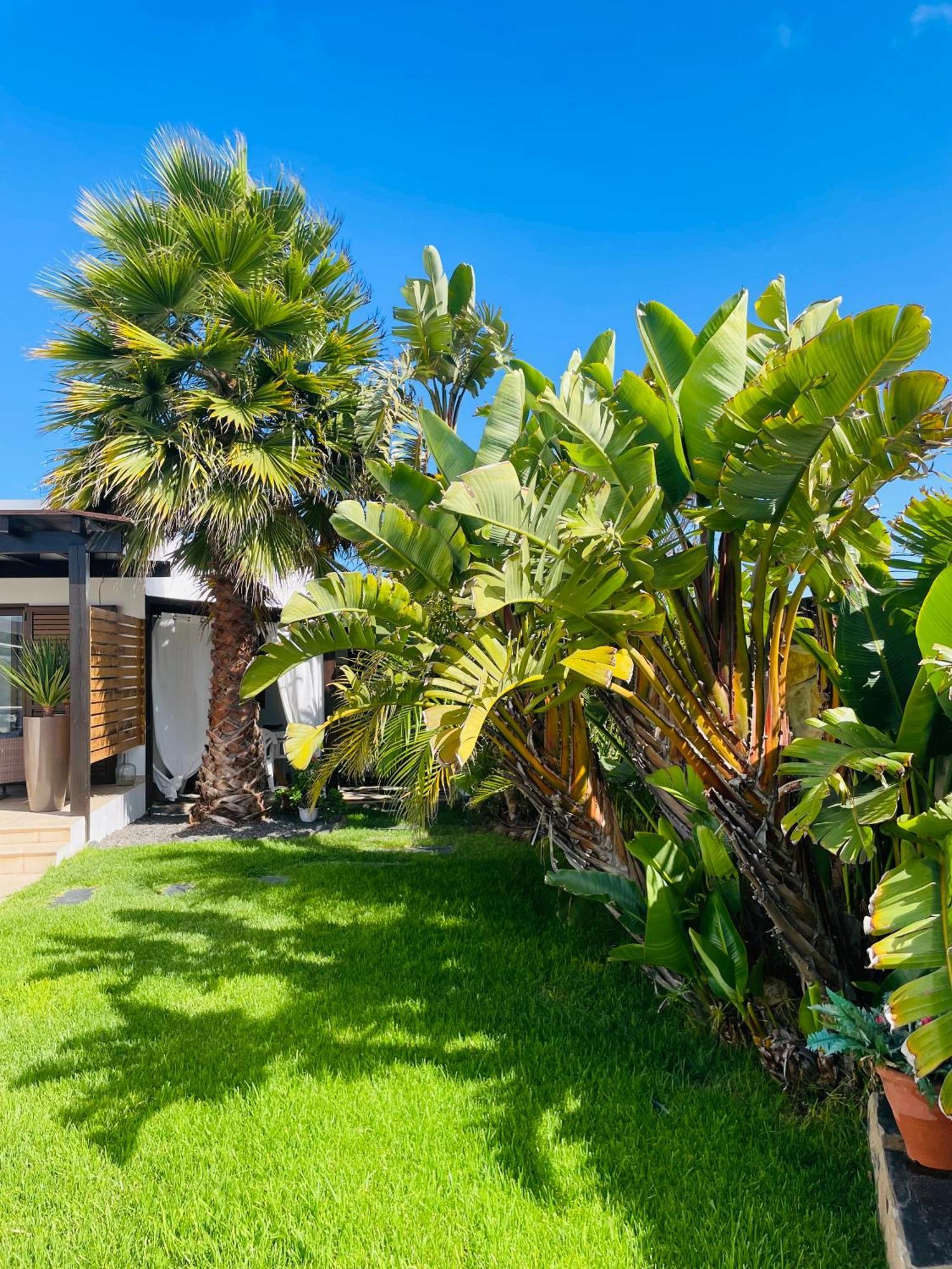 Kalufa Surf House Hostel El Cuchillo Exterior photo